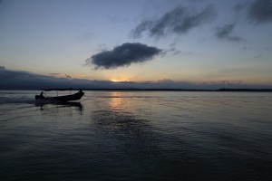 IMG 2941 (2)