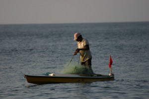IMG 6593