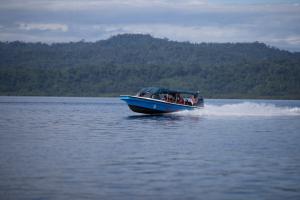 IMG 7960